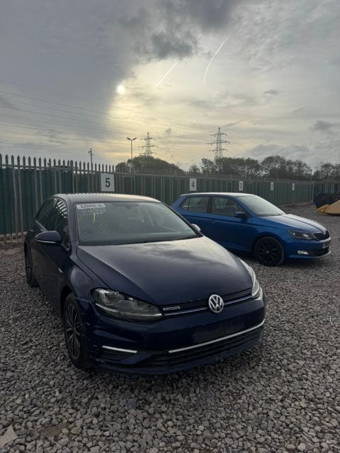 2019 Golf